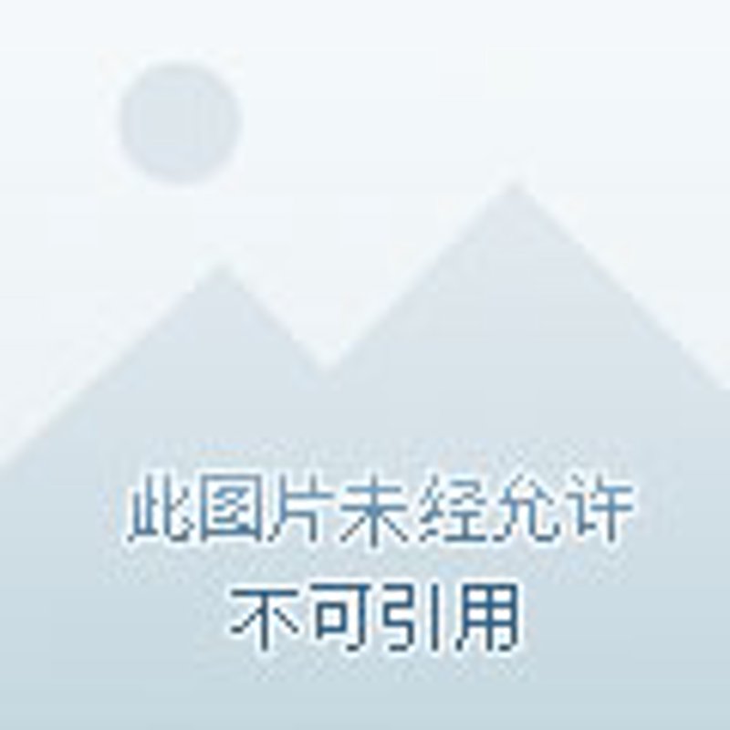 深圳物业管理：一个城市的品质生活如何被管理